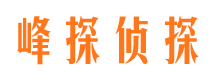 平邑调查公司